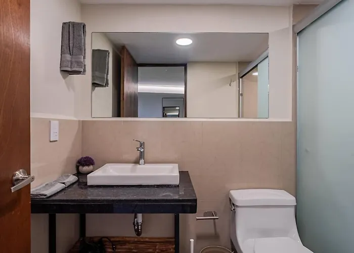Charming With Rooftop In Roma Norte